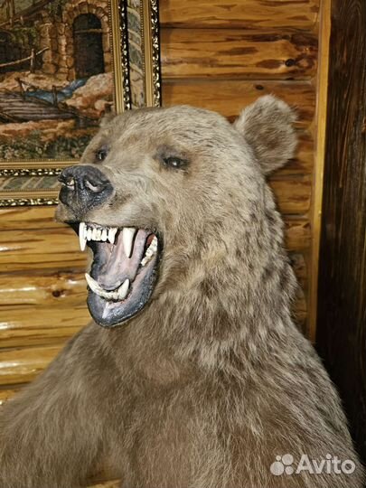 Чучело медведя имитация