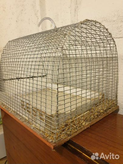 Клетка для животных
