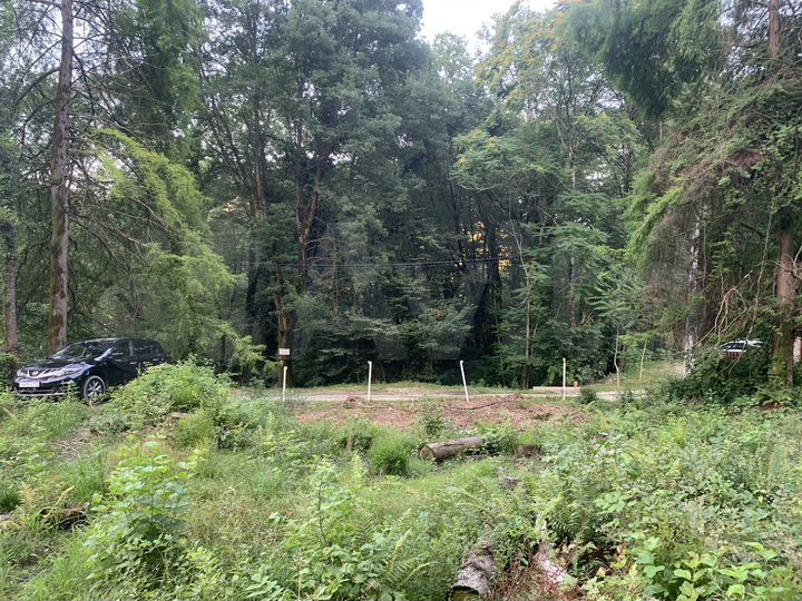 Участок 6,7 сот. (СНТ, ДНП)