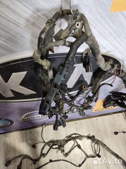 Проводка подкапотная двигателя Renault koleos