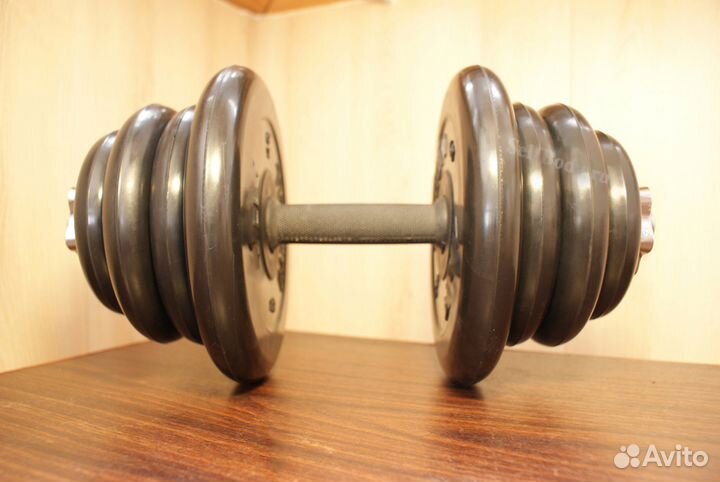 Гантеля 24.5 кг с обрезиненной рукояткой. Atlet pr