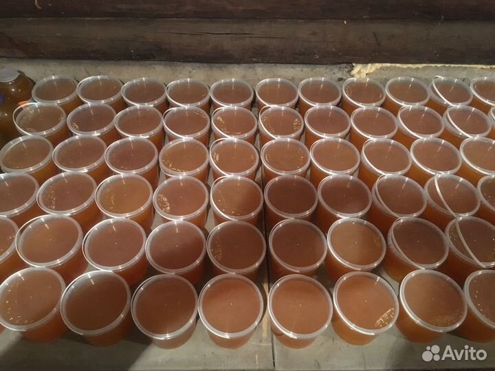 Мёд 2023 с личной пасеки