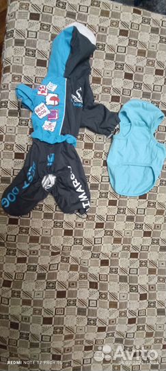 Комбинезон и маечка для мини собак