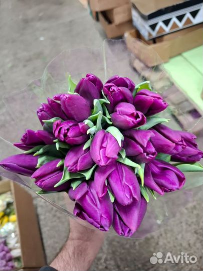 Тюльпаны букет