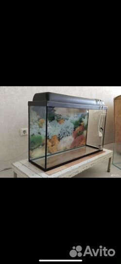 Продам аквариум