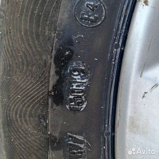 Accelera 651 2.25/4.5 R5 19B
