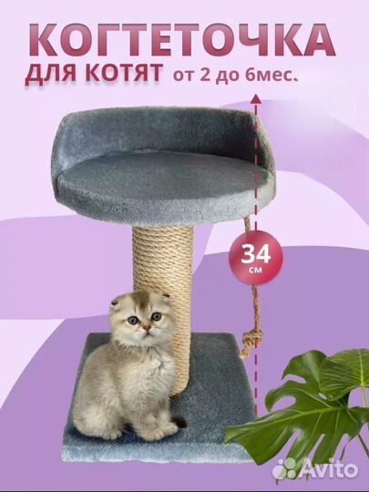 Когтеточка