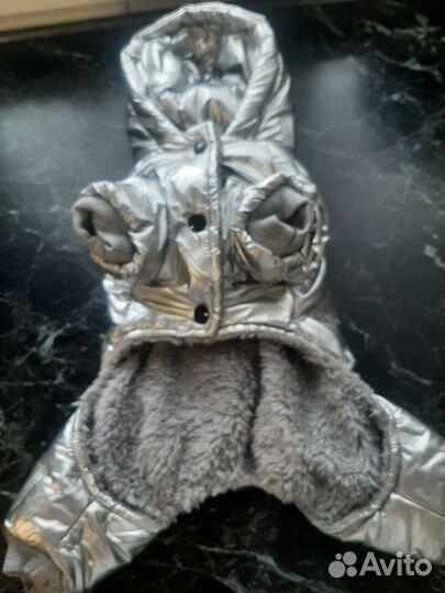 Комбинезон маленькой собаки