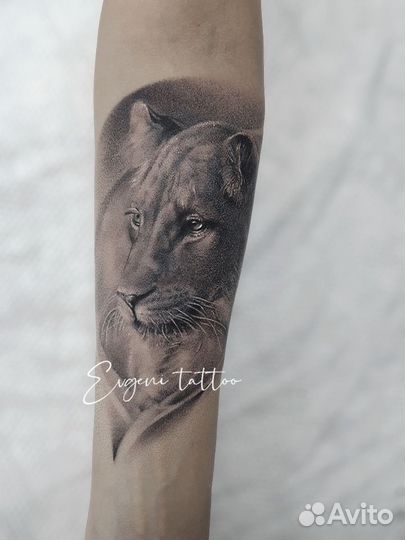 Тату мастер в поиске работы