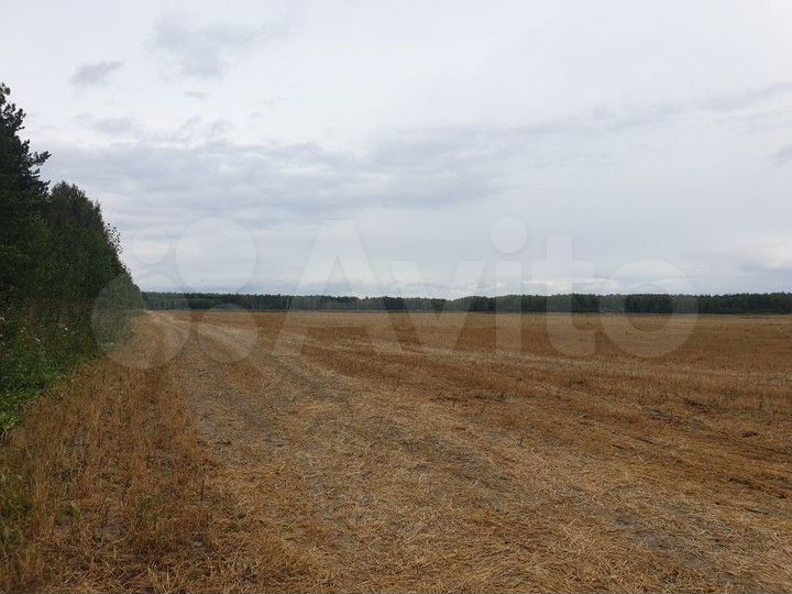 Участок 4,27 га (СНТ, ДНП)