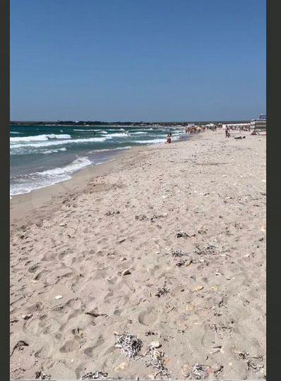 Участок 3,72 га (СНТ, ДНП)