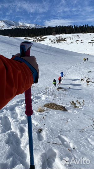 Палки для скандинавской ходьбы