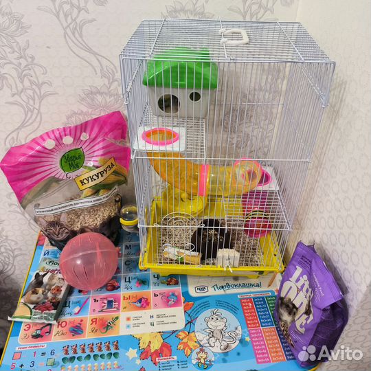 Хомяк с клеткой