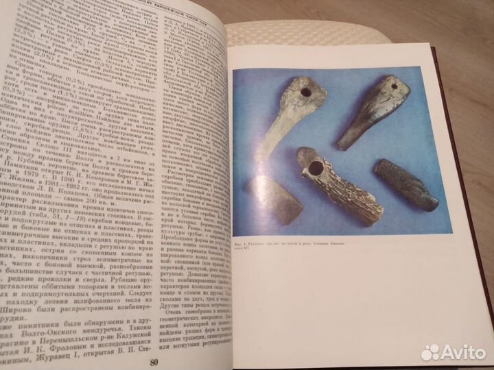 Мезолит (Археология СССР)