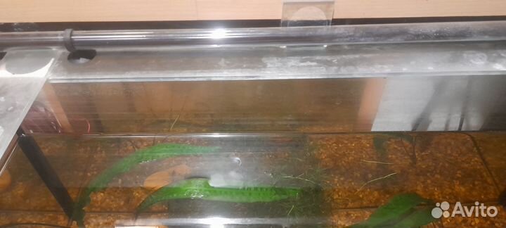 Аквариум тумбой