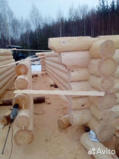 Срубы домов и бань из бревна от производителя