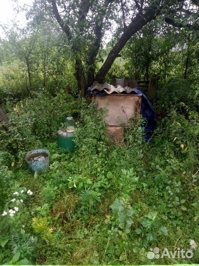 Ульи с пчелами