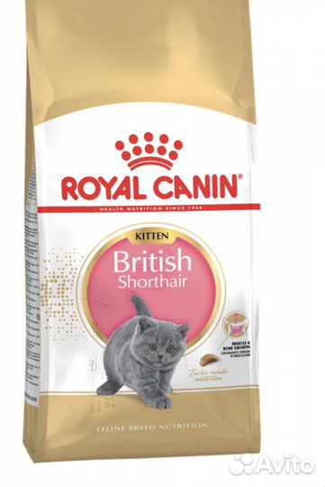 Корм Роял Канин 6 кг для котят британской породы