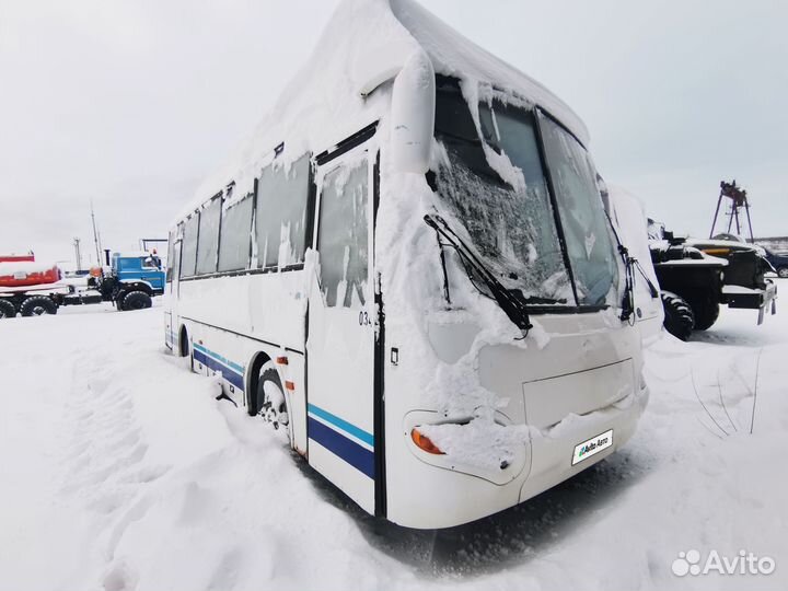 Междугородний / Пригородный автобус ПАЗ 4230-02 Аврора, 2007