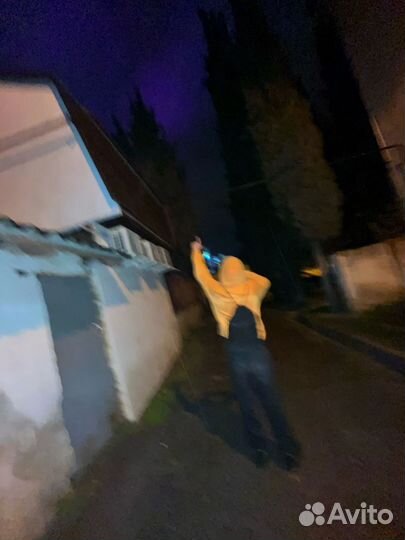 Худи polar skate co