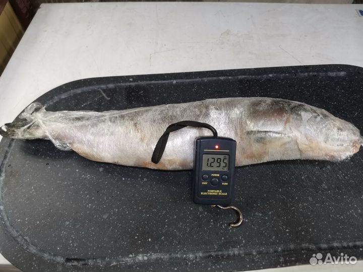 Свежемороженая рыба горбуша