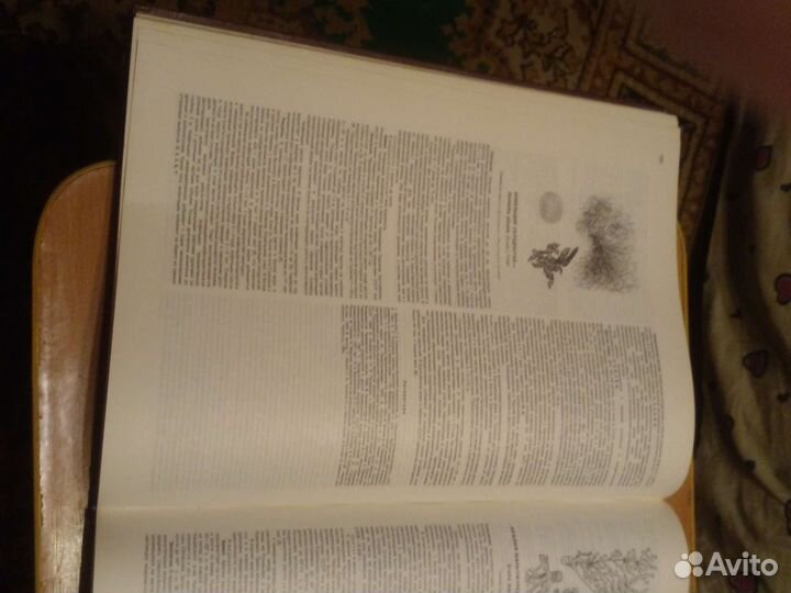 Атлас Ареалов лекарственных растений СССР