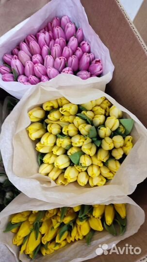 Цветы оптом тюльпаны Донецк