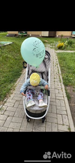 Прогулочная коляска Rant