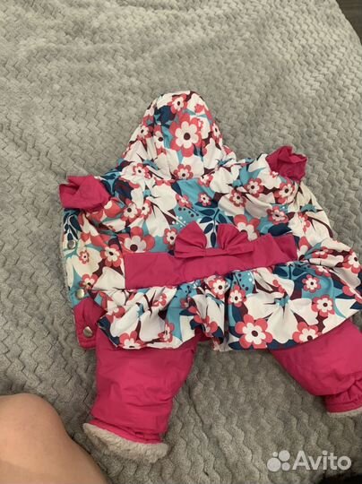 Одежда для собак