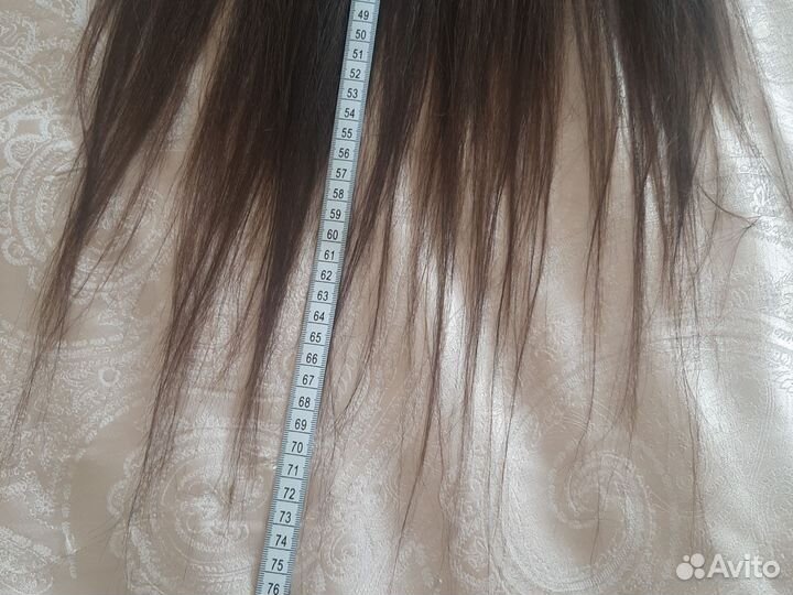 Афрохвост на резинке