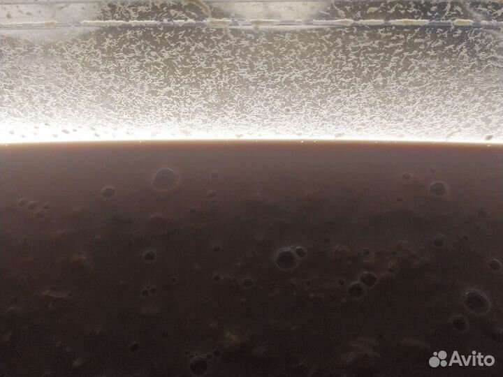 Живые корма для всех видов аквариумных рыб