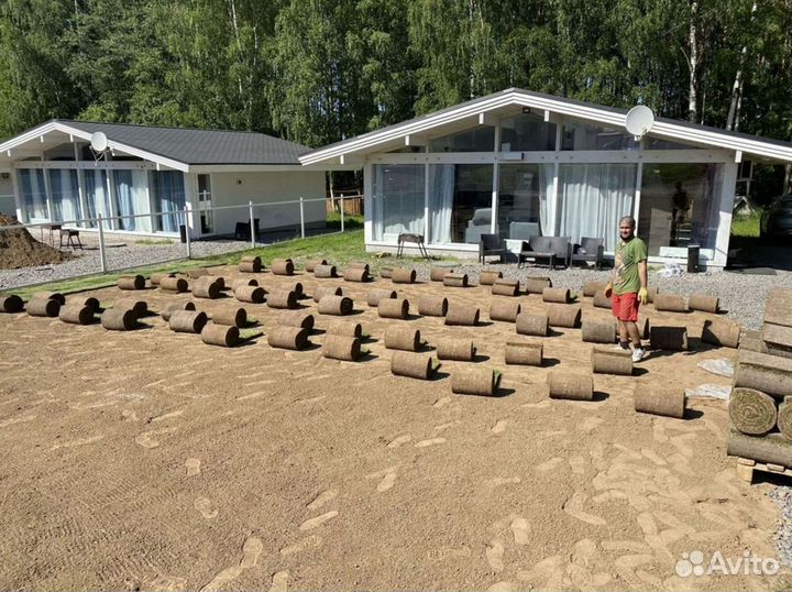 Качественный газон под ключ