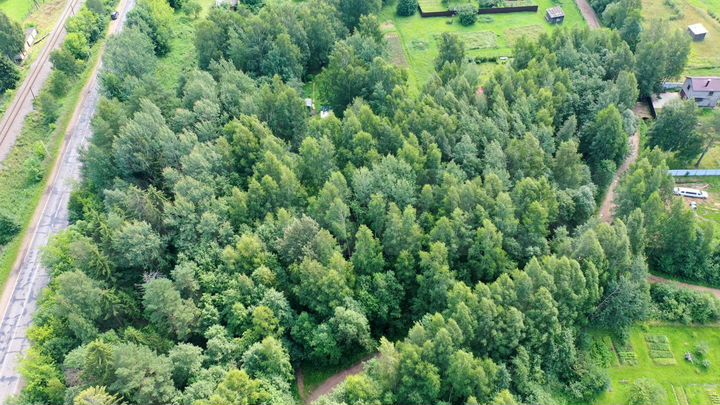 Участок 36 сот. (ИЖС)