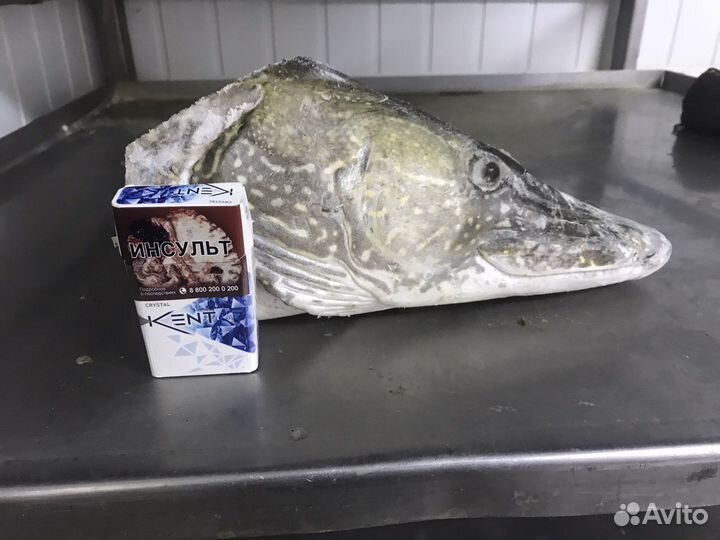 Щучьи головы