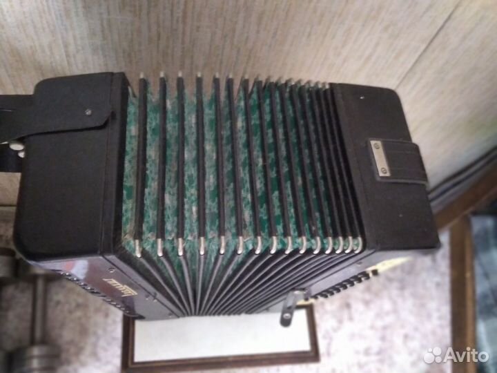 Гармонь Рябинушка