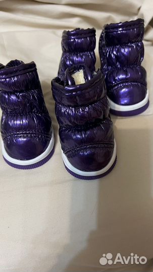 Сапоги для собак