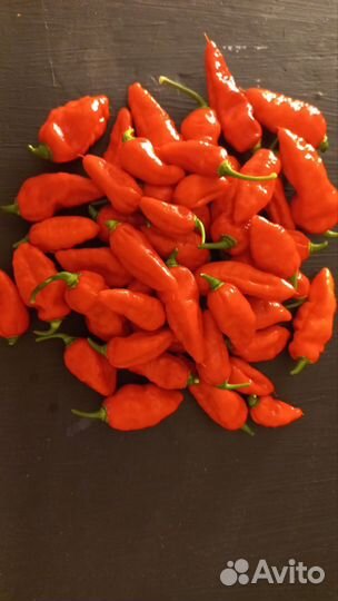 Перец Naga Viper суперострый