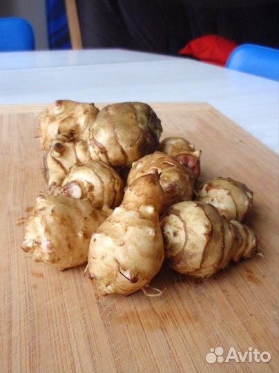 Топинамбур клубни