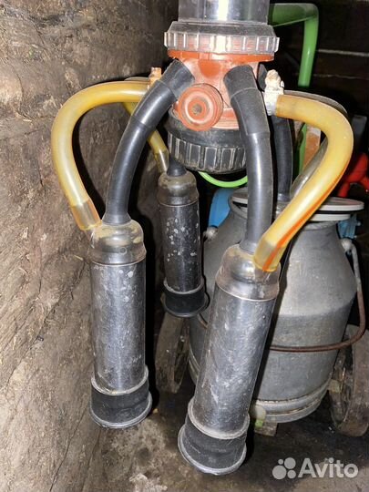 Доильный аппарат