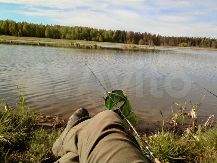 Дом 100 м² на участке 19 сот.