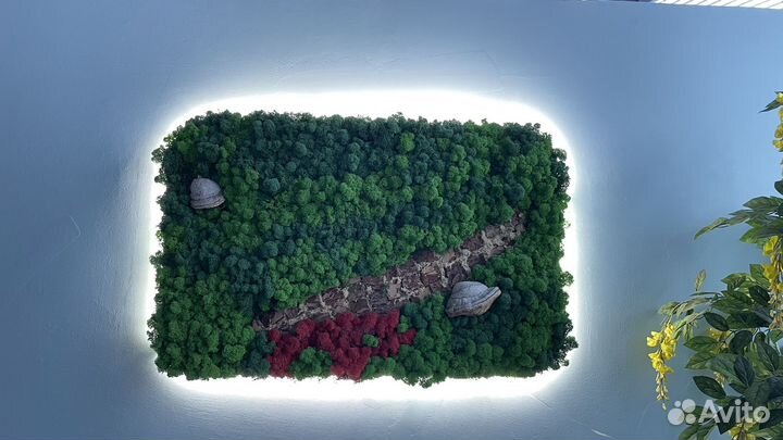 Картина из стабилизированного мха