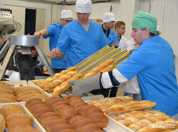 Упаковщик хлеба без опыта/ выплаты ежедневно