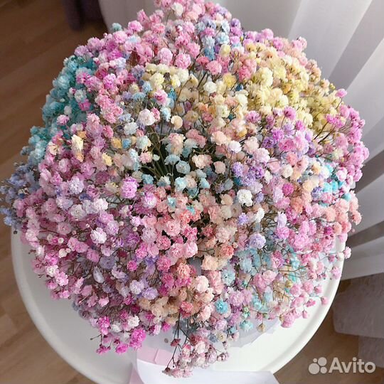 Радужная гипсофила в картонном цилиндре