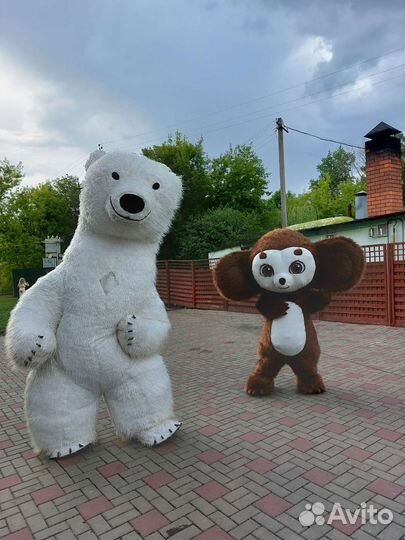 Поздравление: Белый мишка, панда, зайка и др