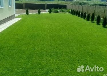 Рулонный газонУкладка Рулонного газонаГазон от про