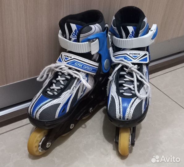 Раздвижные роликовые коньки alpha caprice