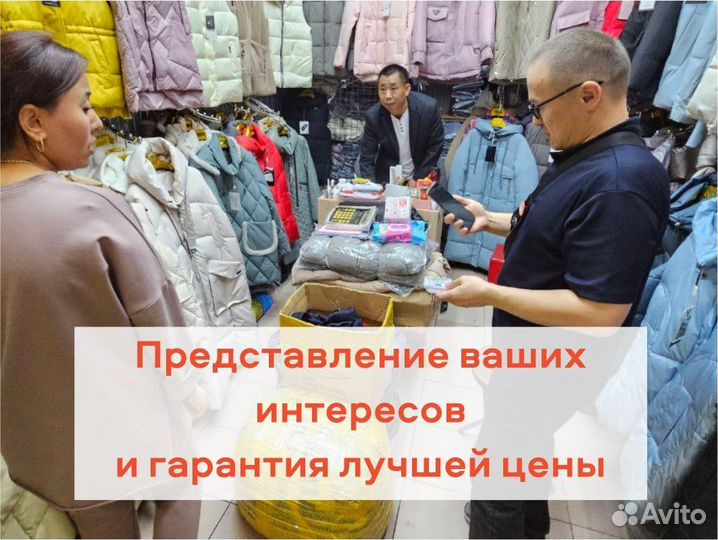 Байер тяк, Садовод, Южные ворота, посредник