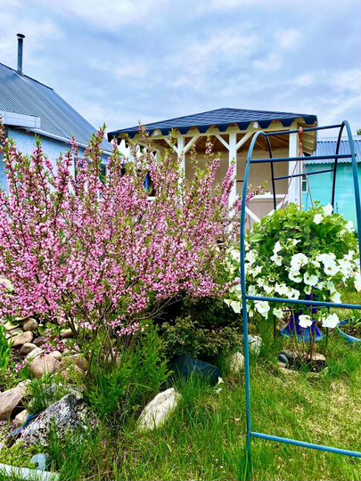 Дача 60 м² на участке 6 сот.