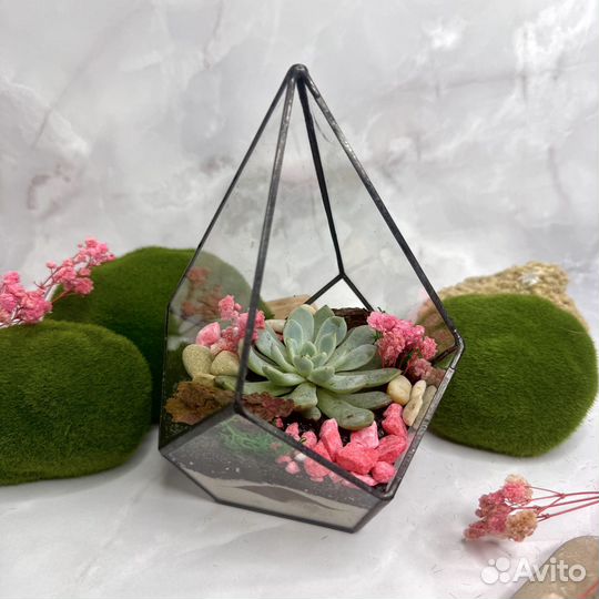 Флорариумы оптом, корпоративный подарок