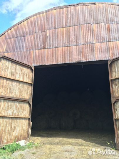 Сено и солома 2023 от производителя. Оптом